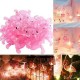 Robinanka® 10lu Pilli Led Flamingo Dekoratif Işık Zinciri Aydınlatma 1,5 Mt Robinanka® 10lu Pilli Led Flamingo Dekoratif Işık Zinciri Aydınlatma 1,5 Mt
