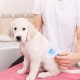 Robinanka® Kedi Köpek Tüy Toplayıcı Kendini Temizleyebilen Ergonomik Saplı Evcil Hayvan Tarağı Mavi Robinanka® Kedi Köpek Tüy Toplayıcı Kendini Temizleyebilen Ergonomik Saplı Evcil Hayvan Tarağı Mavi