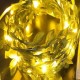 Robinanka® Yapraklı Dekorlu3 Metre Peri Led Pilli Işık Yılbaşı Aydınlatma Robinanka® Yapraklı Dekorlu3 Metre Peri Led Pilli Işık Yılbaşı Aydınlatma