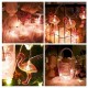 Robinanka® 10lu Pilli Led Flamingo Dekoratif Işık Zinciri Aydınlatma 1,5 Mt Robinanka® 10lu Pilli Led Flamingo Dekoratif Işık Zinciri Aydınlatma 1,5 Mt