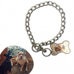 Robinanka 65 cm Uzunlukta Zincir Model Köpek İçin Boyun Tasması Robinanka 65 cm Uzunlukta Zincir Model Köpek İçin Boyun Tasması