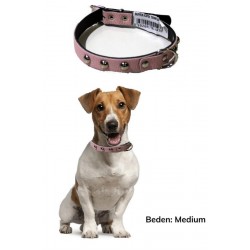 Robinanka Yumuşak Dokulu Deri Köpek Gezdirme Boyun Tasması Medium Robinanka Yumuşak Dokulu Deri Köpek Gezdirme Boyun Tasması Medium