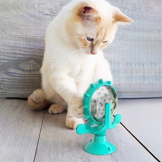Robinanka® Vantuzlu Zilli İnteraktif Dönebilen Mama Kaplı Renkli Eğlenceli Eğitici Kedi Oyuncağı Robinanka® Vantuzlu Zilli İnteraktif Dönebilen Mama Kaplı Renkli Eğlenceli Eğitici Kedi Oyuncağı