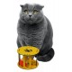 Robinanka® Ahşap Kafes Renkli Toplu Kedi Patisi Desenli Sesli Kedi Oyuncağı Robinanka® Ahşap Kafes Renkli Toplu Kedi Patisi Desenli Sesli Kedi Oyuncağı