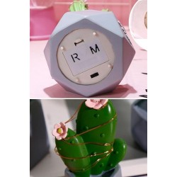 Robinanka Led Işıklı Kaktüs Biblo Ev Dekorasyon ve Hediyelik Eşya Led Aydınlatma