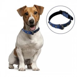 Robinanka Yumuşak Dokulu Deri Köpek Gezdirme Boyun Tasması (Large) Robinanka Yumuşak Dokulu Deri Köpek Gezdirme Boyun Tasması (Large)