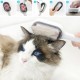 Robinanka® Su Hazneli Kedi ve Köpek Tüyü Toplamama Fırçası Su Hazneli Pet Tarağı Robinanka® Su Hazneli Kedi ve Köpek Tüyü Toplamama Fırçası Su Hazneli Pet Tarağı