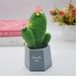 Robinanka Led Işıklı Kaktüs Biblo Ev Dekorasyon ve Hediyelik Eşya Led Aydınlatma