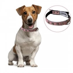 Robinanka Yumuşak Dokulu Deri Köpek Gezdirme Boyun Tasması Medium Robinanka Yumuşak Dokulu Deri Köpek Gezdirme Boyun Tasması Medium