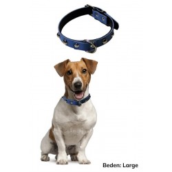 Robinanka Yumuşak Dokulu Deri Köpek Gezdirme Boyun Tasması (Large) Robinanka Yumuşak Dokulu Deri Köpek Gezdirme Boyun Tasması (Large)