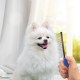 Robinanka® Tüy Açıcı Kedi Köpek Tarağı Tek Taraflı Metal Dişli Evcil Hayvan Bakım Fırçası Robinanka® Tüy Açıcı Kedi Köpek Tarağı Tek Taraflı Metal Dişli Evcil Hayvan Bakım Fırçası