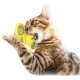 Robinanka Pet Malzemeleri Vantuzlu Fırıldak Toplu Dönen Şeffaf Depo Tasarım İnteraktif Kedi Oyuncağı Robinanka Pet Malzemeleri Vantuzlu Fırıldak Toplu Dönen Şeffaf Depo Tasarım İnteraktif Kedi Oyuncağı