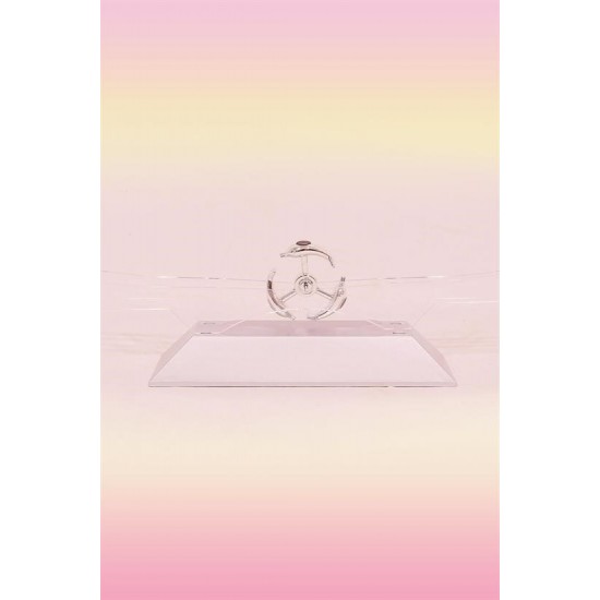 Robinanka® Dekoratif Masa Üstü Obje Manyetik Kinetik Orbital Dönen Yunuslar Robinanka® Dekoratif Masa Üstü Obje Manyetik Kinetik Orbital Dönen Yunuslar